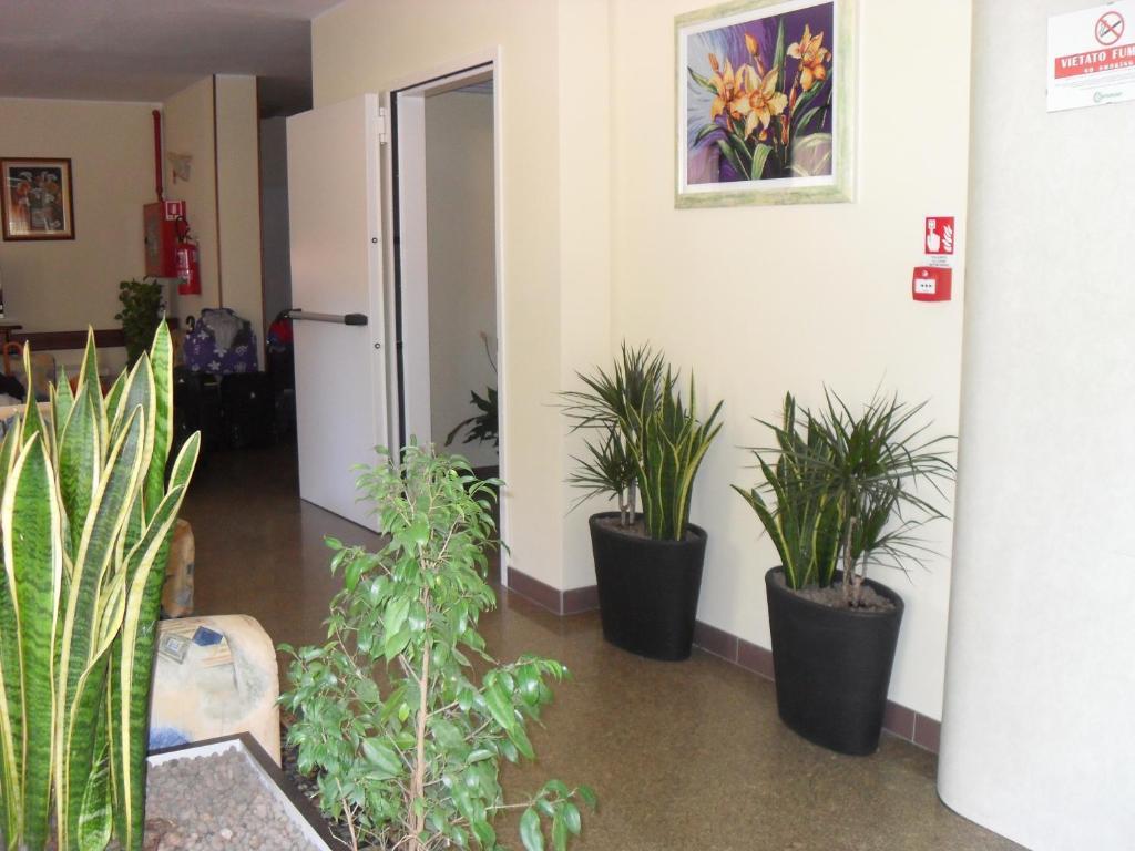Hotel Zani Cervia Luaran gambar