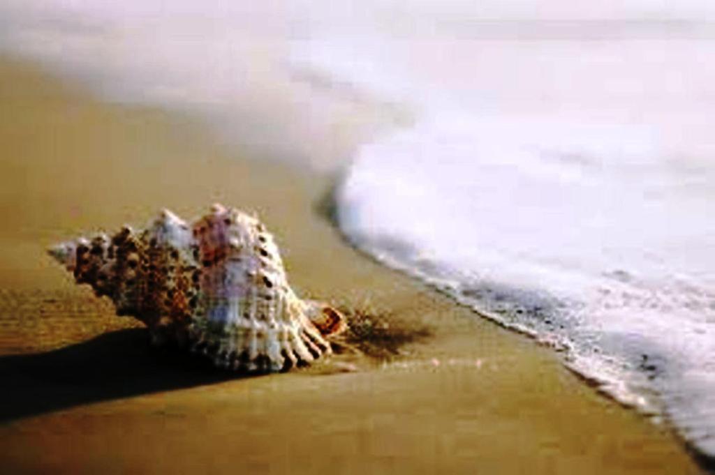Hotel Zani Cervia Luaran gambar