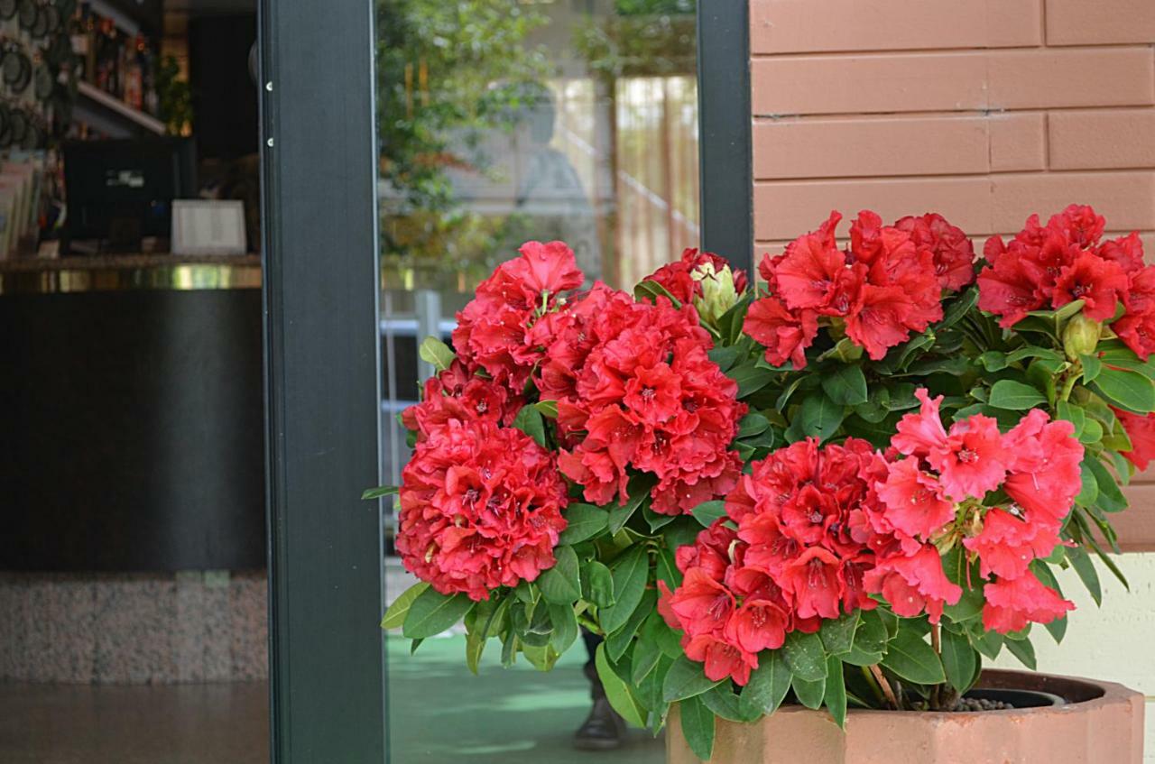 Hotel Zani Cervia Luaran gambar